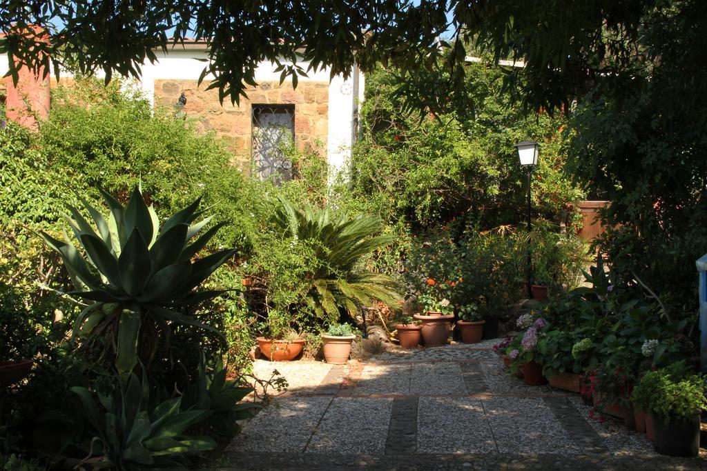 Casa Terranova Bed and breakfast *