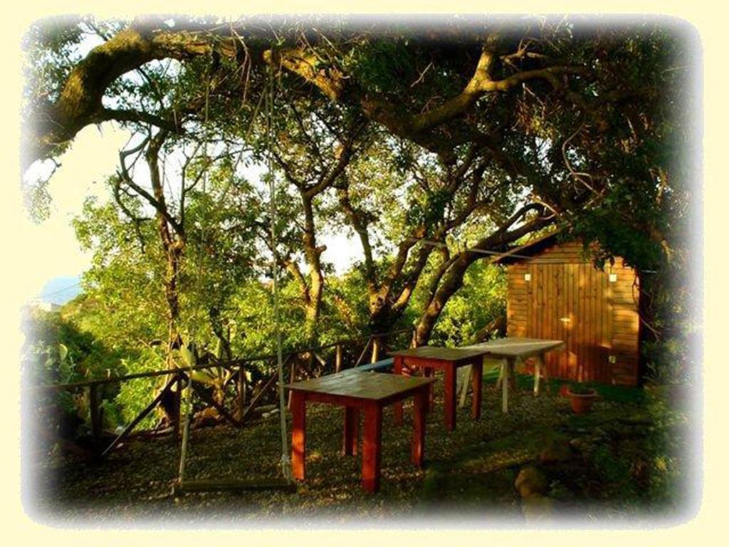 Casa Terranova Isola di Ustica