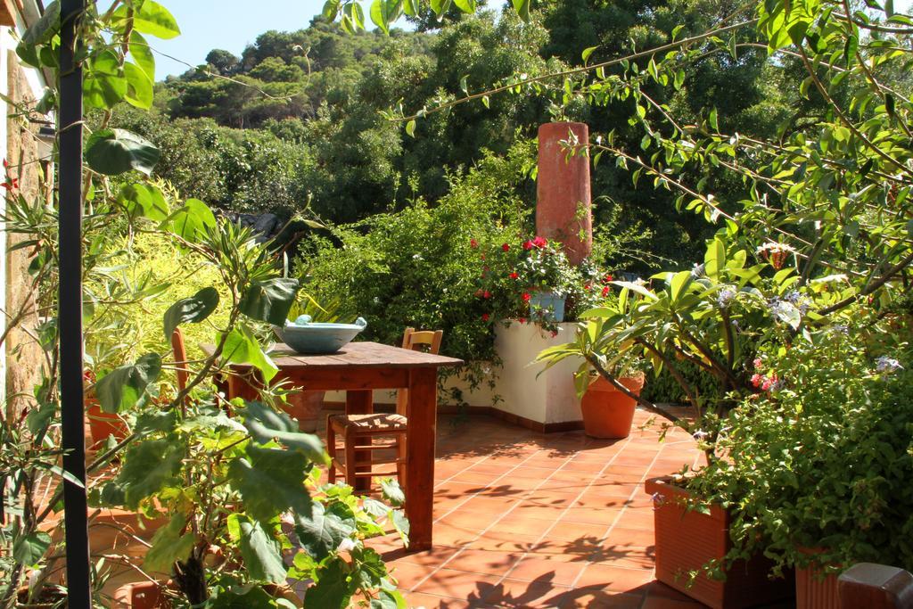 Casa Terranova Bed & Breakfast *